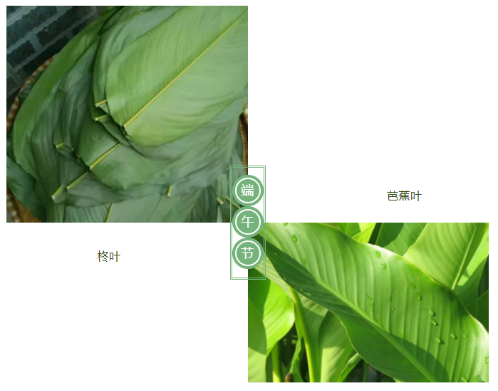 星空·综合体育医纺